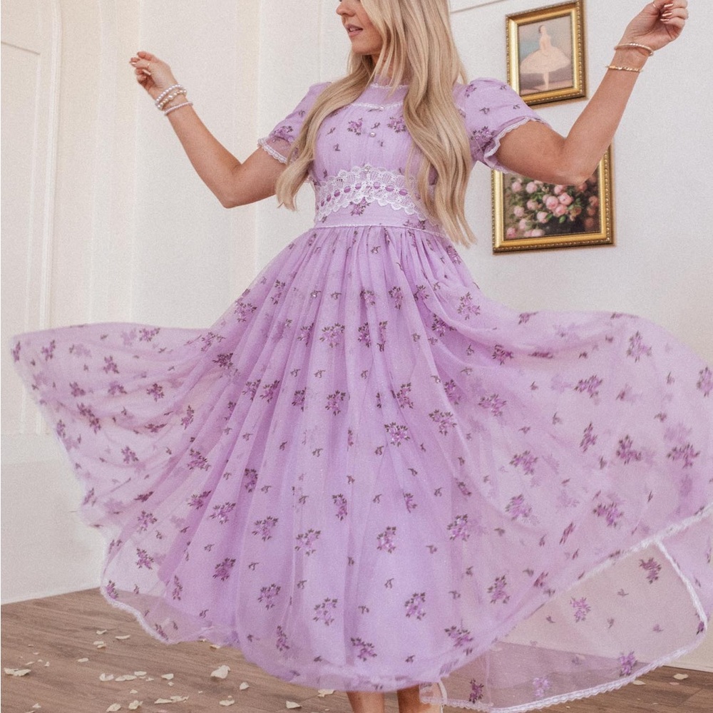Ivy City Co Elsie Dress 2x